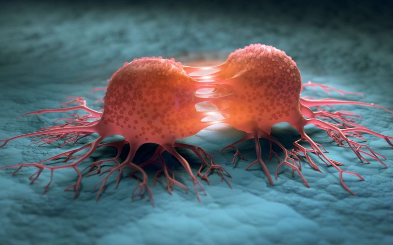 Chapitre 4 : Multiplication cellulaire et cancer